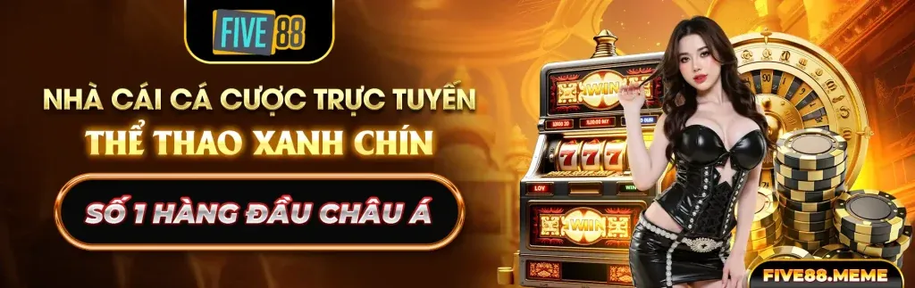 Đá Gà Thomo Trực Tiếp QHH88
